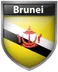 Brunei Client - Reachwell client